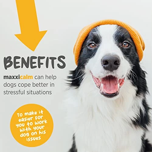 Maxxipaws Maxxicalm Natural Non-Drowsy Calming Aid Supplement For Dogs With Behavioral Training Guide - 120 Tasty Tablets 4 Maxxipaws Maxxicalm Natural Non-Drowsy Calming Aid Supplement For Dogs With Behavioral Training Guide - 120 Tasty Tablets - Image 2
