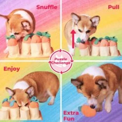 FOSSA Dog Snuffle Mat, Puppy Toys Feeding Mat With 8 Carrots Plush Dog Treat Puzzle Toys (Small) 11 FOSSA Dog Snuffle Mat, Puppy Toys Feeding Mat With 8 Carrots Plush Dog Treat Puzzle Toys (Small) -Dog Supply Store 51JuT4hlOxL