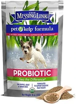 Pet Kelp Probiotic Powder Formula, Organic & Limited Ingredient Superfood Supplement, Kelp, Flaxseed, Pumpkin & Probiotics, Omegas & Probiotics For Digestive Health For Puppy, Adult & Senior Dogs, 8oz 17 Pet Kelp Probiotic Powder Formula, Organic & Limited Ingredient Superfood Supplement, Kelp, Flaxseed, Pumpkin & Probiotics, Omegas & Probiotics For Digestive Health For Puppy, Adult & Senior Dogs, 8oz -Dog Supply Store 51KT2MPmCrL. AC
