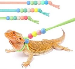 Bearded Dragon Leash & Leopard Pattern Carrier, Lizard Adjustable Harness With Leather Wings And Sling Bag, With Beardie's Leopard Pattern Coat, Reptile Small Pet Batwing Accessories For Outdoor -Dog Supply Store 51KTxBDqr L. AC