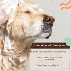 Natural Dog Company Itchy Dog Shampoo, 12 Oz., Dog Dry Skin Treatment, Dog Itch Relief, Hypoallergenic, Plant Based Ingredients, Deodorizing Dog Shampoo, Relief From Skin Allergy Symptoms 11 Natural Dog Company Itchy Dog Shampoo, 12 Oz., Dog Dry Skin Treatment, Dog Itch Relief, Hypoallergenic, Plant Based Ingredients, Deodorizing Dog Shampoo, Relief From Skin Allergy Symptoms -Dog Supply Store 51Kof6EfFlL