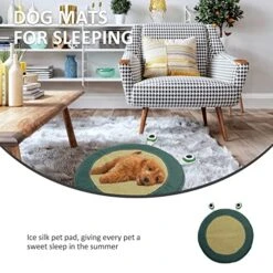 Dog Supply Store -Dog Supply Store 51LOFPndq5L