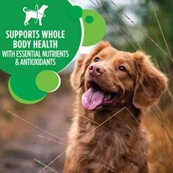 IAMS Adult Minichunks Small Kibble High Protein Dry Dog Food With Real Chicken, 7 Lb. Bag -Dog Supply Store 51LZFDcGxvL