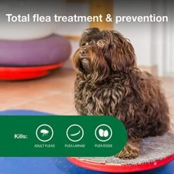 Advantage II Small Dog Vet-Recommended Flea Treatment & Prevention | Dogs 3-10 Lbs. | 4-Month Supply -Dog Supply Store 51LozwT3WtL