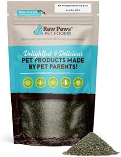 Raw Paws Organic Sea Kelp For Dogs & Cats, 8-oz - Iodine Rich For Thyroid, Digestive & Immune Health - Seaweed Powder For Dogs, Sea Kelp For Cats, Kelp Supplement For Dogs, Dried Kelp Powder For Dogs -Dog Supply Store 51MCMJysiL. AC