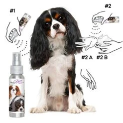 The Blissful Dog Cavalier King Charles Spaniel Relax Dog Aromatherapy Spray For Your Dog's Anxiety -Dog Supply Store 51Mf7JXWYnL