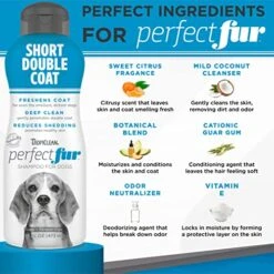 TropiClean Perfect Fur Dog Shampoo For Shedding Control For All Breeds With A Short Double Coat, 16 Ounce -Dog Supply Store 51MjcMMIF6L