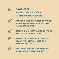 Amazon Brand – Wag Small Breed Dry Dog Food, Chicken And Brown Rice, 5 Lb Bag 12 Amazon Brand – Wag Small Breed Dry Dog Food, Chicken And Brown Rice, 5 Lb Bag -Dog Supply Store 51NPDHCC98S