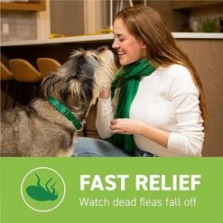 CAPSTAR (nitenpyram) Oral Flea Treatment For Dogs, Fast Acting Tablets Start Killing Fleas In 30 Minutes, Medium & Large Dogs (Over 25 Lbs), 6 Doses 16 CAPSTAR (nitenpyram) Oral Flea Treatment For Dogs, Fast Acting Tablets Start Killing Fleas In 30 Minutes, Medium & Large Dogs (Over 25 Lbs), 6 Doses -Dog Supply Store 51OsAVzY7gL