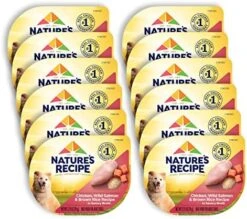 Nature's Recipe Wet Dog Food, Variety Pack, 2.75 Ounce Cup (Pack Of 24) -Dog Supply Store 51Pa4JIUFQL. AC