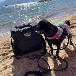 Dog Travel Bag Backpack- Pet Traveling Essentials Included- Dog Travel Accessories- Airline Approved Dog Bag -Dog Supply Store 51PzUVLQYiL