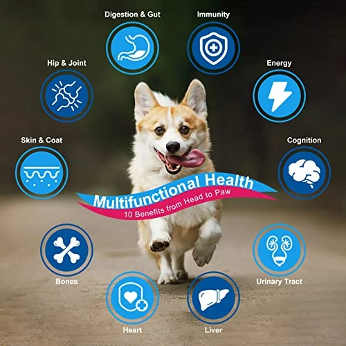 Dog Vitamins Powder, Probiotics & Digestive Enzymes For Gut Health, Glucosamine & Chondroitin & Omega 3, Complete Supplement For Homemade Dog Food, Joint & Skin & Immune Support, Dog Allergy Relief 4 Dog Vitamins Powder, Probiotics & Digestive Enzymes For Gut Health, Glucosamine & Chondroitin & Omega 3, Complete Supplement For Homemade Dog Food, Joint & Skin & Immune Support, Dog Allergy Relief - Image 2