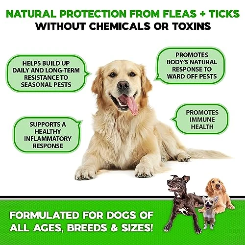 Flea And Tick Prevention For Dogs Chewables - Made In USA - Natural Flea And Tick Supplement For Dogs Chews- Oral Flea Pills For Dogs - No Mess | No Collars - All Breeds And Ages - Tasty Soft Tablets 3 Flea And Tick Prevention For Dogs Chewables - Made In USA - Natural Flea And Tick Supplement For Dogs Chews- Oral Flea Pills For Dogs - No Mess | No Collars - All Breeds And Ages - Tasty Soft Tablets