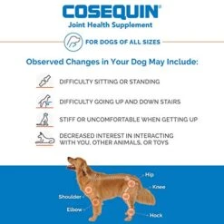 Nutramax Cosequin Joint Health Supplement For Dogs - With Glucosamine, Chondroitin, MSM, And Omega-3's, 60 Soft Chews -Dog Supply Store 51QydonlrNL