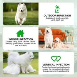 Flea And Tick Prevention For Dogs, 150 Flea & Tick Prevention For Dogs Chewable, Natural Flea And Tick Supplement For Dogs, Oral Flea And Tick Treats For Dogs, Flea And Tick Chews For Dogs,Duck Flavor -Dog Supply Store 51RL7BmcMWL