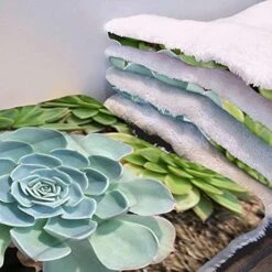 GENERIC Yellow Dog Bed Mat Breakfast Food Cartoon Like Image Puppy Dog Blanket Pet Blanket Small Dog Indoor Cat Kitten Fast Food Dessert 18" X 22" -Dog Supply Store 51RXvw7QWpL. AC