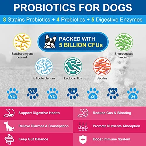 Dog Vitamins Powder, Probiotics & Digestive Enzymes For Gut Health, Glucosamine & Chondroitin & Omega 3, Complete Supplement For Homemade Dog Food, Joint & Skin & Immune Support, Dog Allergy Relief 5 Dog Vitamins Powder, Probiotics & Digestive Enzymes For Gut Health, Glucosamine & Chondroitin & Omega 3, Complete Supplement For Homemade Dog Food, Joint & Skin & Immune Support, Dog Allergy Relief - Image 3