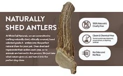WhiteTail Naturals | Premium Deer Antlers For Dogs (Large) | All Natural Antler Dog Chew | Naturally Shed, Long Lasting Chew Bone, Made In USA (Large (Best For Dogs 40-60 Lbs)) -Dog Supply Store 51Sf6iv8PKL