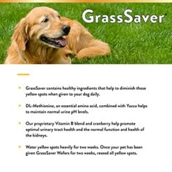 NaturVet GrassSaver| Wafers For Dogs – Help Keep Grass Green, Rid Your Lawn Of Yellow Patches Caused By Dog Urine| No More Yellow Spots| DL-Methionine & Enzymes – 300 Ct -Dog Supply Store 51UcX3QfBlL