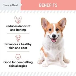 Pure Wild Alaskan Salmon Oil For Dogs - 16 Oz. - Pump Cap Bottle - Contains Omega-3 And 6, Vitamin D, EPA, And DHA For Healthy Skin And Coat - Toxin Free -Dog Supply Store 51VF52iWclL