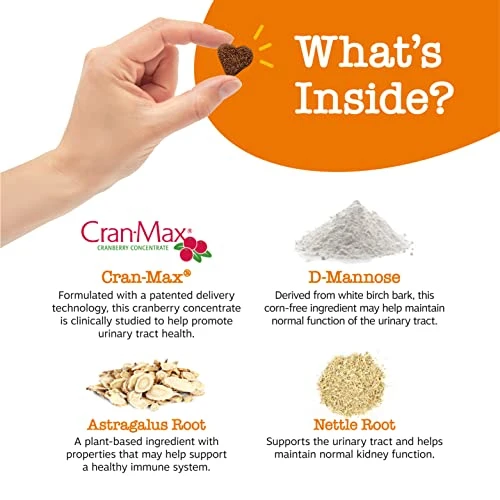 Cranberry Soft Chews For Dogs - Kidney, Bladder & Urinary Tract Wellness Supplement - With D Mannose & Organic Astragalus + Antioxidants - Immune System Support - Bacon Flavor - 80 Count 6 Cranberry Soft Chews For Dogs - Kidney, Bladder & Urinary Tract Wellness Supplement - With D Mannose & Organic Astragalus + Antioxidants - Immune System Support - Bacon Flavor - 80 Count - Image 4