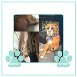 Ultra Oil Skin And Coat Supplement For Dogs And Cats With Hemp Seed Oil, Flaxseed Oil, Grape Seed Oil, Fish Oil For Relief From Dry Itchy Skin, Dull Coat, Hot Spots, Dandruff, And Allergies 32 Ounce -Dog Supply Store 51VJukuFCXL