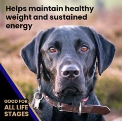 Victor Super Premium Dog Food – Select - Beef Meal & Brown Rice Formula – Gluten Free Beef Meal Dry Dog Food For All Normally Active Dogs Of All Life Stages, 40 Lbs 12 Victor Super Premium Dog Food – Select - Beef Meal & Brown Rice Formula – Gluten Free Beef Meal Dry Dog Food For All Normally Active Dogs Of All Life Stages, 40 Lbs -Dog Supply Store 51VUagafmLL