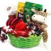 Best Dog Gift Basket Treat Crew Toys Package DB012
