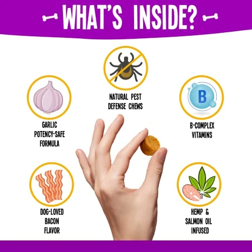 True Tails Flea And Tick Prevention For Dogs – 90 Bacon Soft Chews Dog Flea & Tick Control – Natural Flea And Tick Treatment With Garlic, Hemp, Vitamin B Complex – With No Preservatives 4 True Tails Flea And Tick Prevention For Dogs – 90 Bacon Soft Chews Dog Flea & Tick Control – Natural Flea And Tick Treatment With Garlic, Hemp, Vitamin B Complex – With No Preservatives - Image 2