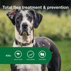 Advantage II XL Dog Vet-Recommended Flea Treatment & Prevention | Dogs Over 55 Lbs. | 4-Month Supply -Dog Supply Store 51XVTPevDhL