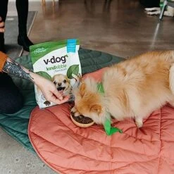 V-dog Vegan Mini Kibble Dry Dog Food (4.5 LB) Small Breed Dogs | Plant-Based Protein With Added Taurine For Sensitive Stomach And Skin | All Natural Made In US -Dog Supply Store 51XpoEI7SDL