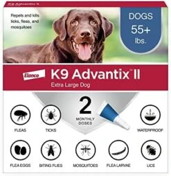 K9 Advantix II XL Dog Vet-Recommended Flea, Tick & Mosquito Treatment & Prevention | Dogs Over 55 Lbs. | 2-Mo Supply 27 K9 Advantix II XL Dog Vet-Recommended Flea, Tick & Mosquito Treatment & Prevention | Dogs Over 55 Lbs. | 2-Mo Supply -Dog Supply Store 51Y1yYzq5YL. AC