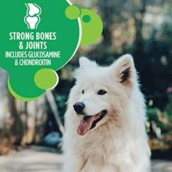 IAMS Adult High Protein Large Breed Dry Dog Food With Real Chicken, 15 Lb. Bag -Dog Supply Store 51Y4qBTrcZL 1