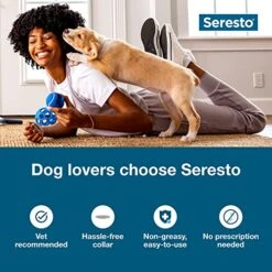 Seresto Small Dog Vet-Recommended Flea & Tick Treatment & Prevention Collar For Dogs Under 18 Lbs. | 8 Months Protection -Dog Supply Store 51YSQ62xgAL