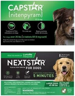 CAPSTAR (nitenpyram) Oral Flea Treatment For Dogs, Fast Acting Tablets Start Killing Fleas In 30 Minutes, Medium & Large Dogs (Over 25 Lbs), 6 Doses 21 CAPSTAR (nitenpyram) Oral Flea Treatment For Dogs, Fast Acting Tablets Start Killing Fleas In 30 Minutes, Medium & Large Dogs (Over 25 Lbs), 6 Doses -Dog Supply Store 51Z87CNeWJL. AC