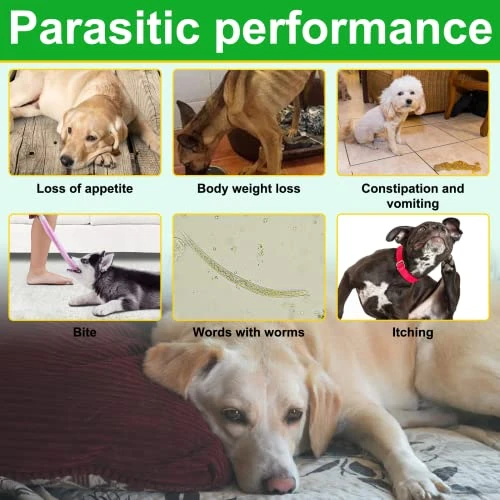 Flea And Tick Prevention For Dogs Chewable, 150 Chews Dog Natural Flea & Tick Control Supplement, Dog Flea And Tick Treatment, Oral Flea Pills For All Breeds And Ages Dogs 6 Flea And Tick Prevention For Dogs Chewable, 150 Chews Dog Natural Flea & Tick Control Supplement, Dog Flea And Tick Treatment, Oral Flea Pills For All Breeds And Ages Dogs - Image 4