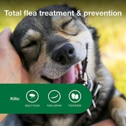 Advantage II Medium Dog Vet-Recommended Flea Treatment & Prevention | Dogs 11-20 Lbs. | 4-Month Supply -Dog Supply Store 51ZROsvkOML