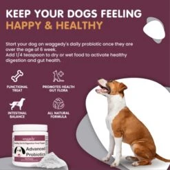 Waggedy Advanced Probiotic & Enzymes Healthy Gut — Digestive Enzymes W/ Papaya — Probiotic Powder — Dog Supplements — Products For Dogs – Food Topper, Powder (114g) -Dog Supply Store 51ZtPWTHlCL