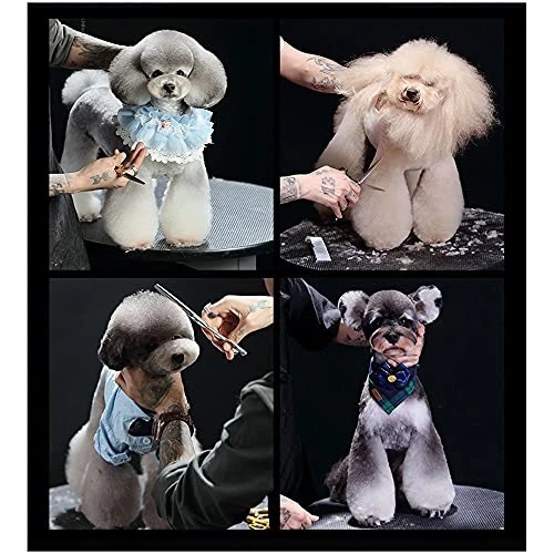 Office Scissors,Craft Scissors,High-end Pet Grooming Scissors Color Grooming Scissors Small Mouth Finishing Scissors Up And Down Double Use Scissors 6 Office Scissors,Craft Scissors,High-end Pet Grooming Scissors Color Grooming Scissors Small Mouth Finishing Scissors Up And Down Double Use Scissors - Image 4