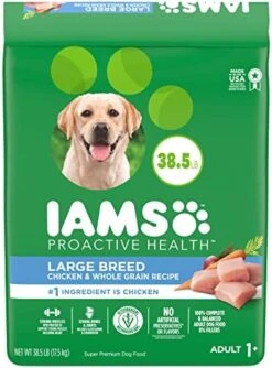 IAMS Adult High Protein Large Breed Dry Dog Food With Real Chicken, 30 Lb. Bag -Dog Supply Store 51ae42J1d3L. AC