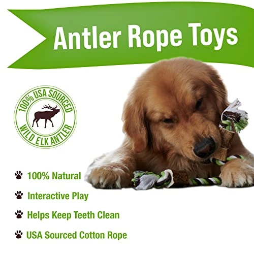 Buck Bone Organics Elk Antler Cotton Rope Chew Toy (Large/Jumbo) 4 Buck Bone Organics Elk Antler Cotton Rope Chew Toy (Large/Jumbo) - Image 2