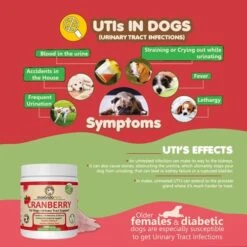 Dog Cranberry Supplement - Natural Dog UTI Treatment & Kidney Support For Dogs. Dog Supplement Powder Same As Cranberry Pills For Dogs. Puppy Supplies For Dog Pee Health - Dog Incontinence Product -Dog Supply Store 51bqwSDrlWL