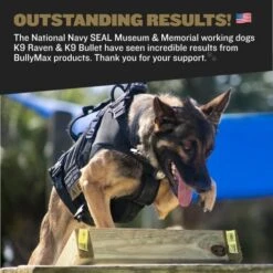 Bully Max Protein Powder For Dogs | Supports Muscle Building & Muscle Gain | #1-Rated Performance Brand Since 2009 | For Dogs Of All Ages | 368 Grams -Dog Supply Store 51cUASj88UL