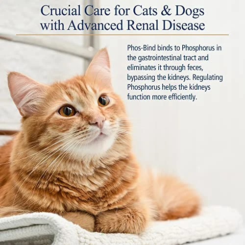 Rx Vitamins For Pets - Phos-Bind 35 Gm Powder 5 Rx Vitamins For Pets - Phos-Bind 35 Gm Powder - Image 3