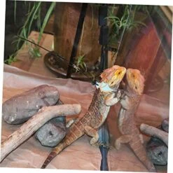 Bearded Sling Carrier 1 Set Lizard Bag Travel Hammock Tank Set Travel Sling Bearded Dragon Carrier Adjustable Lizards Sling Carrier Reptile Carry Bag Travel Lizard Leash Food -Dog Supply Store 51ccOIv8K0L