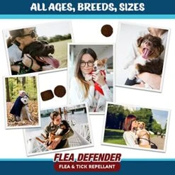 Texas Pet Company Flea Defender Flea And Tick Prevention For Dogs, Chewables For Large To Small Dogs, Natural Bacon Flavor Flea & Tick Control Treats For Dogs Soft Chew Supplement, Made In The USA. 10 Texas Pet Company Flea Defender Flea And Tick Prevention For Dogs, Chewables For Large To Small Dogs, Natural Bacon Flavor Flea & Tick Control Treats For Dogs Soft Chew Supplement, Made In The USA. -Dog Supply Store 51dDLQpZrRL