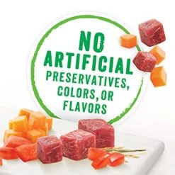 Purina Beneful Gravy, High Protein Wet Dog Food, Chopped Blends With Lamb - (8) 10 Oz. Tubs -Dog Supply Store 51dbv9jxZES