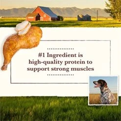 Whole Earth Farms Grain Free Recipe Dry Dog Food, Chicken & Turkey, 25-Pound -Dog Supply Store 51deznCWelS