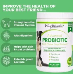 Deley Naturals Probiotics For Dogs - 120 Grain Free Chicken Soft Chews - 4 Billion CFU's, Digestive Enzymes, Prebiotics - Dog Allergies, Diarrhea, Bad Dog Breath, Constipation, Gas, Yeast- Made In USA -Dog Supply Store 51dzpPtwvCL