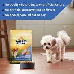 Nature′s Recipe Small Breed Dry Dog Food, Small Bites Chicken, Barley & Brown Rice Recipe, 12 Lb. Bag -Dog Supply Store 51eM8NR85ML